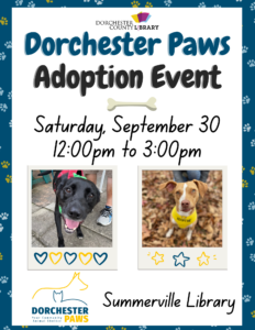 Dorchester Paws Adoption Event